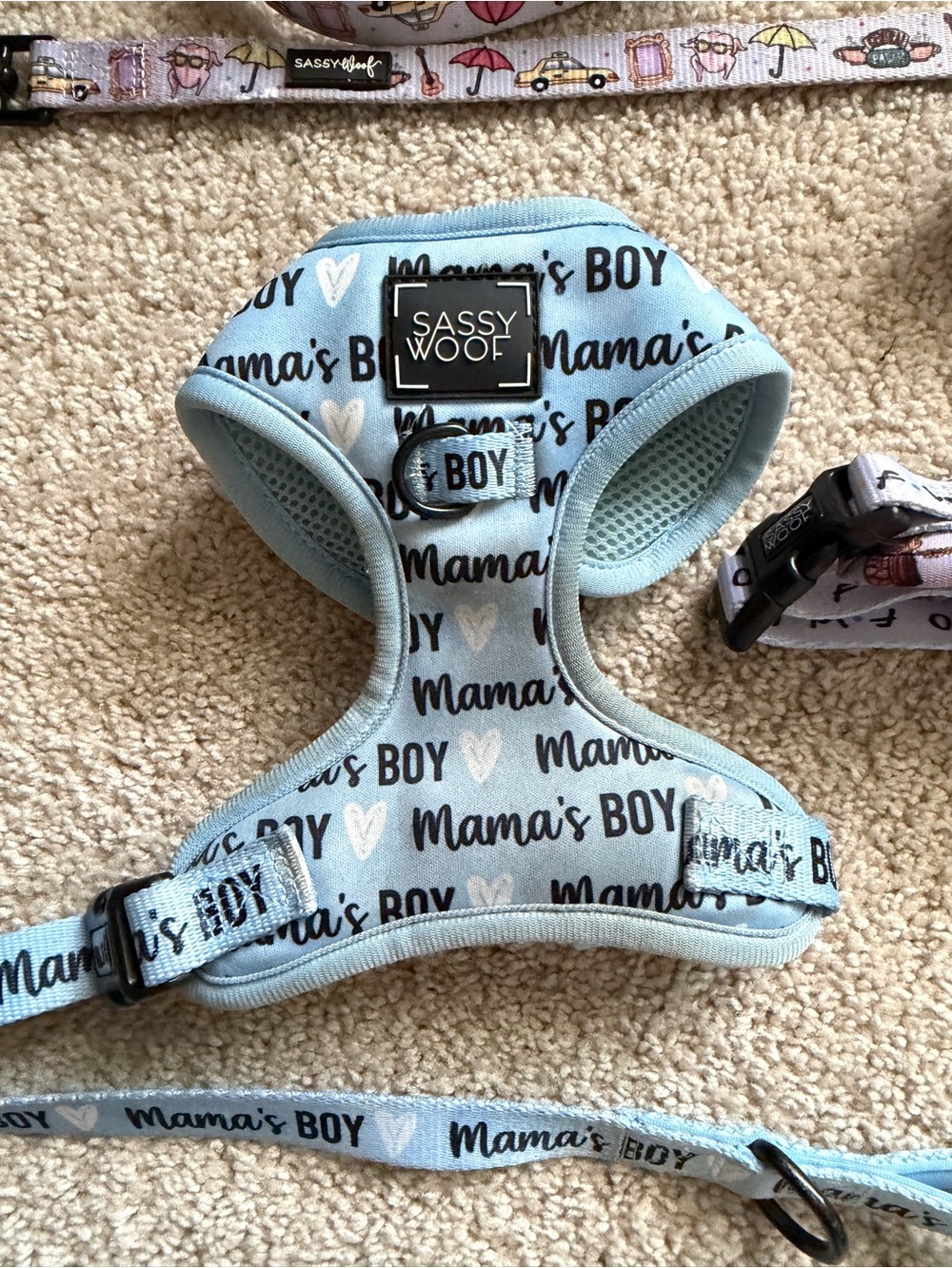 Sassy Woof Harness Leash Bundle - Picture 10 of 16
